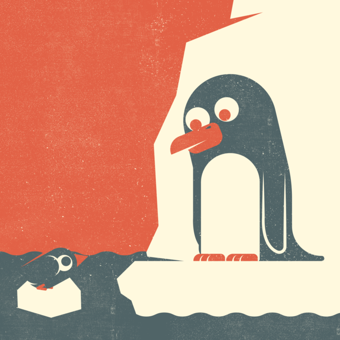 16.Pingu-the-jungle-illustration-wood-campers