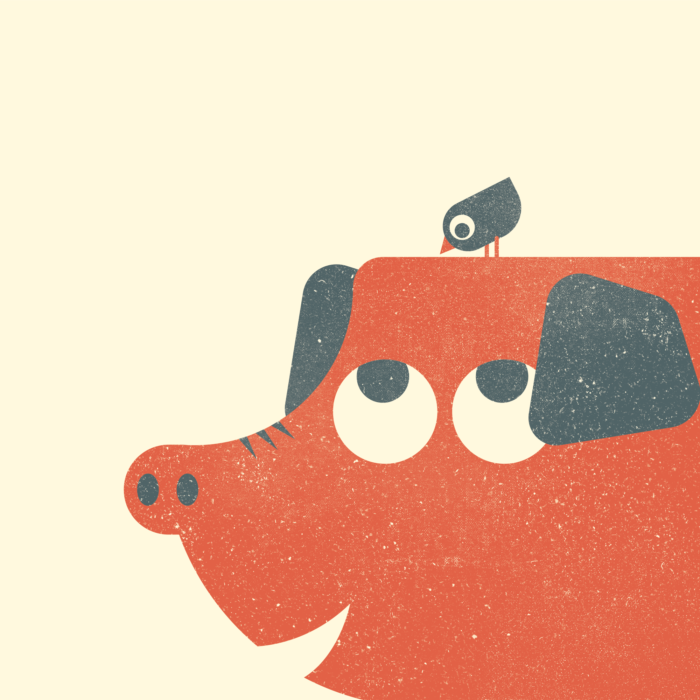 20.Pig-the-jungle-illustration-wood-campers