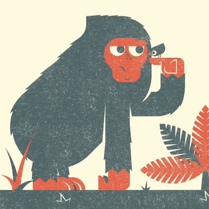 7.Ape-the-jungle-illustration-wood-campers